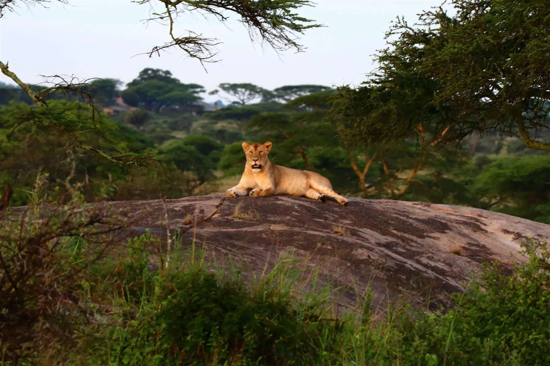 Serengeti National Park